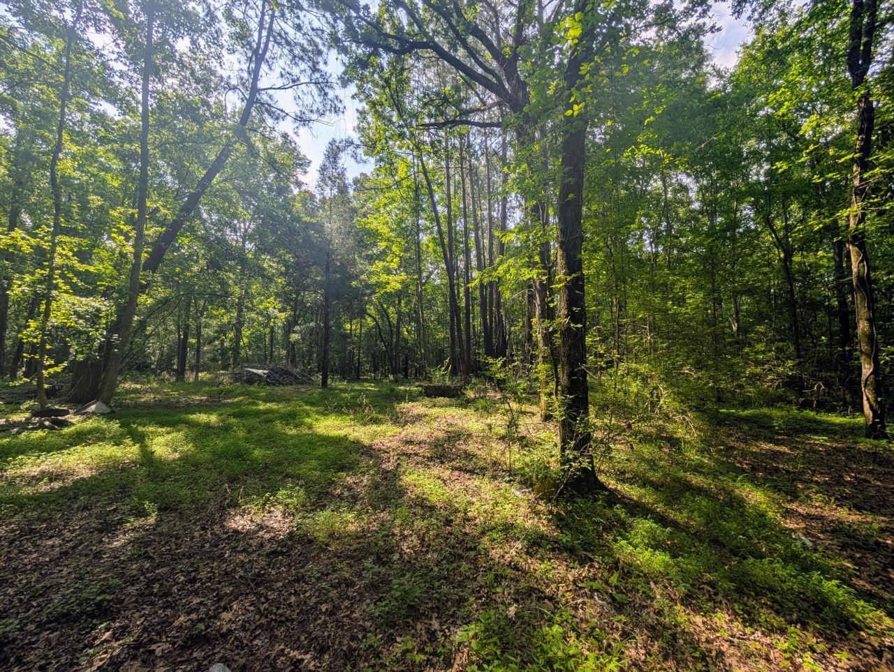 0 Thicket Lane Photo 7