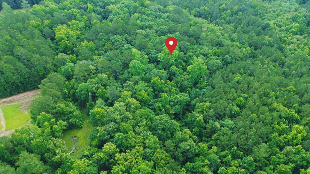 0 Thicket Lane Photo 9