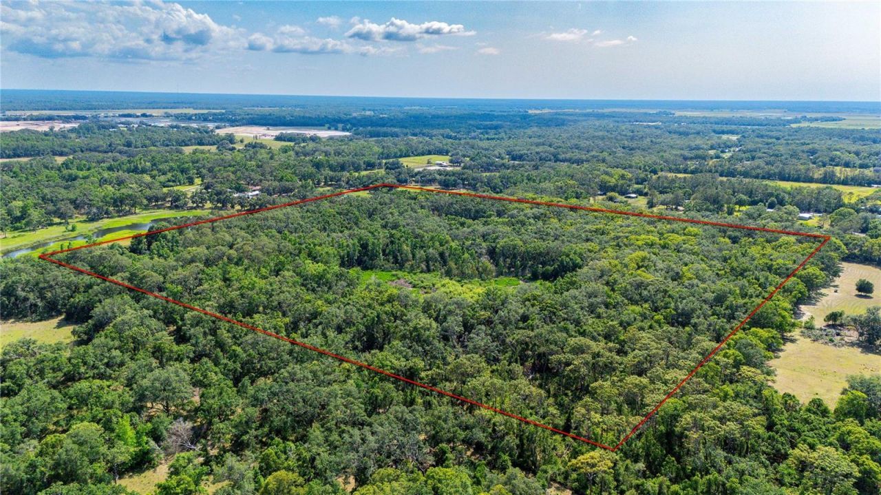 Bradley Drive, Dade City, FL 33525 Photo