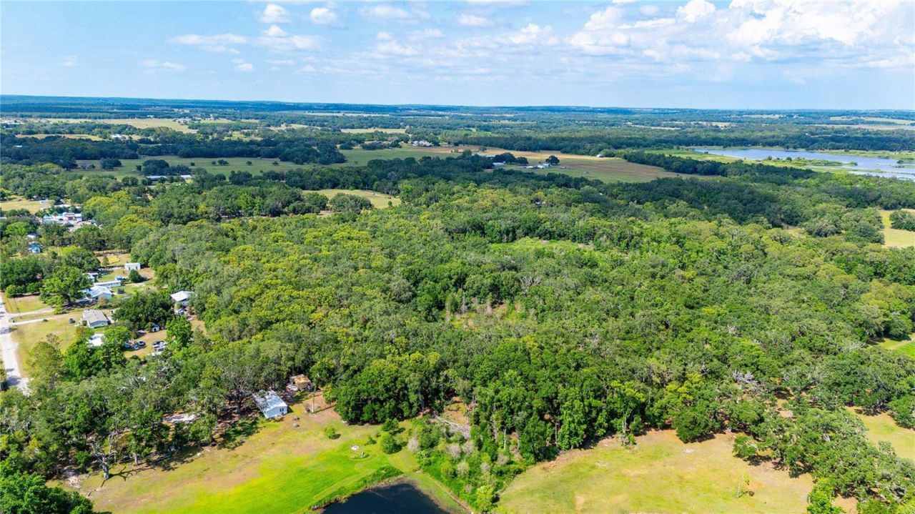 Bradley Drive, Dade City, FL 33525 Photo