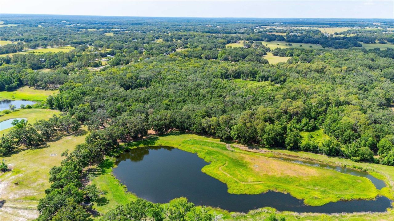 Bradley Drive, Dade City, FL 33525 Photo