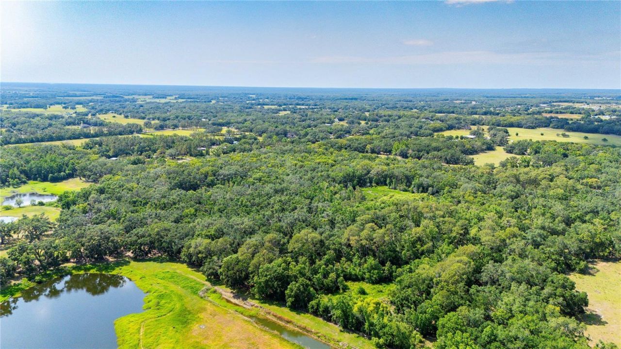 Bradley Drive, Dade City, FL 33525 Photo