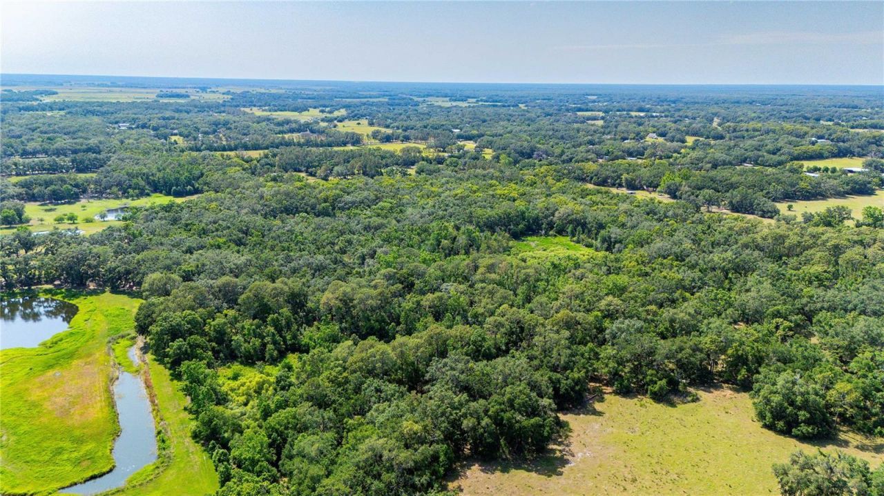 Bradley Drive, Dade City, FL 33525 Photo