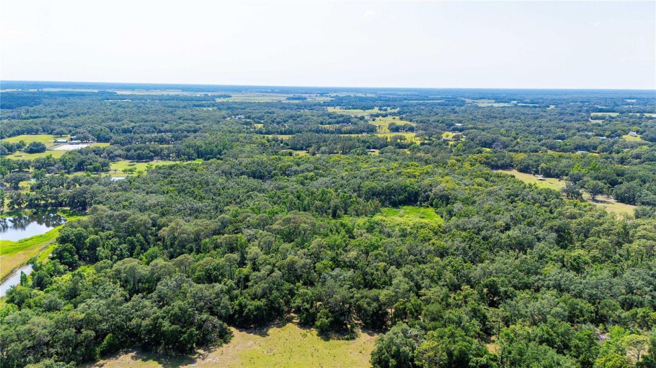 Bradley Drive, Dade City, FL 33525 Photo