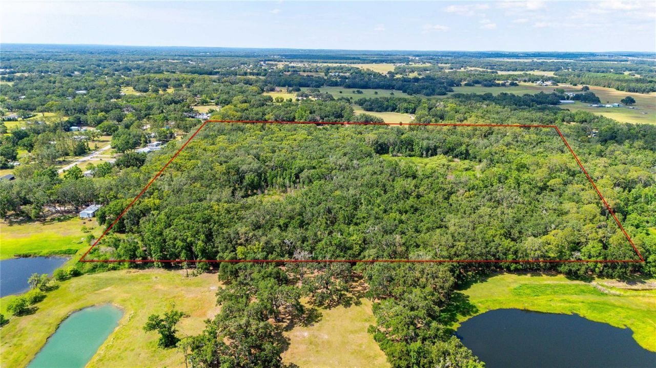 Bradley Drive, Dade City, FL 33525 Photo