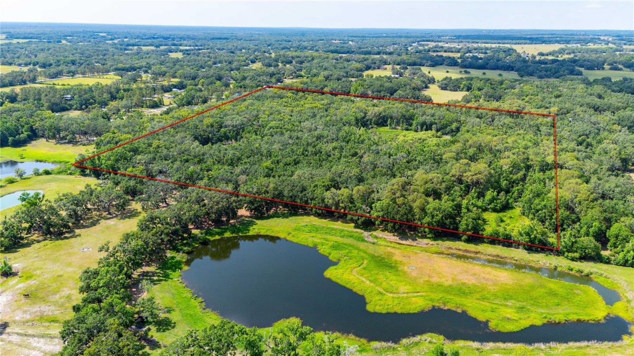 Bradley Drive, Dade City, FL 33525 Photo