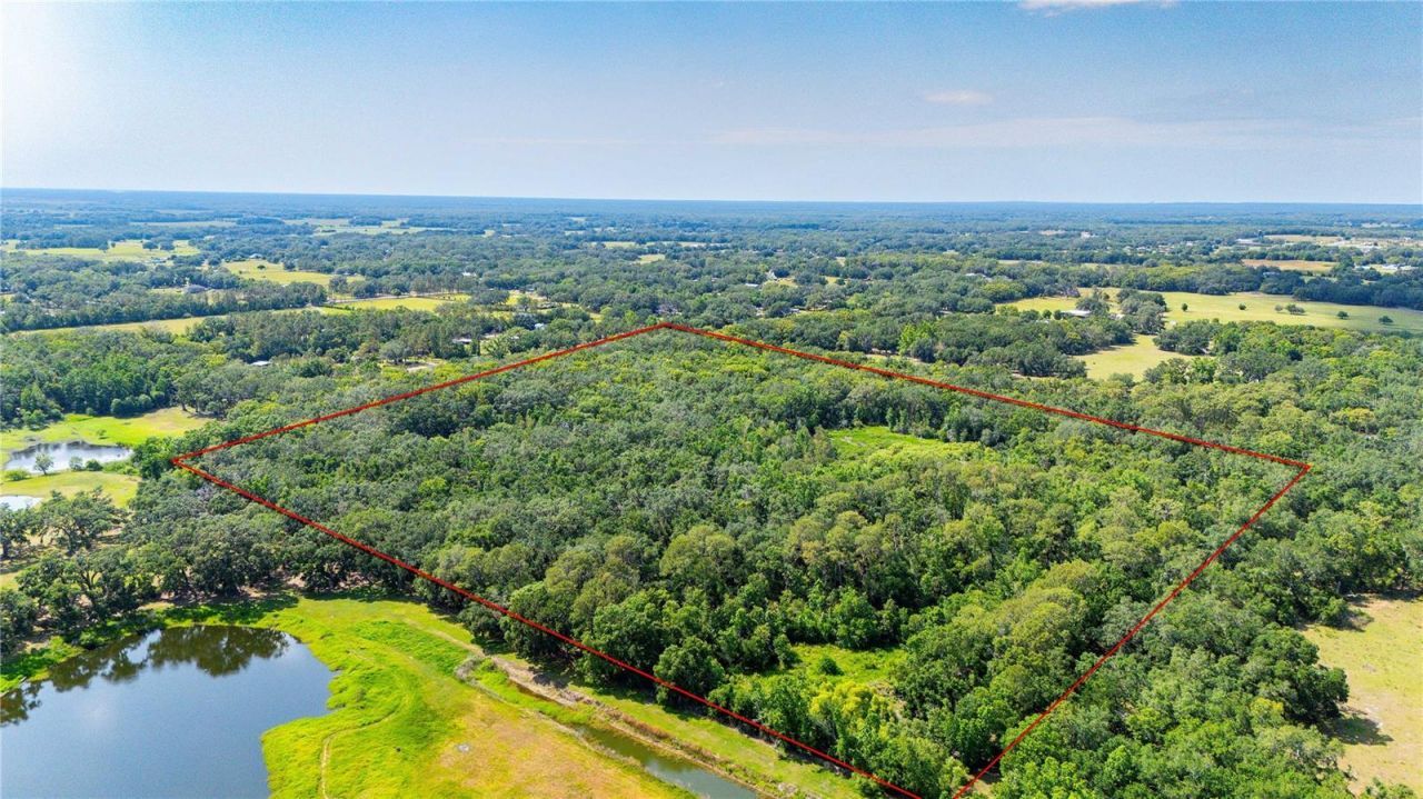 Bradley Drive, Dade City, FL 33525 Photo