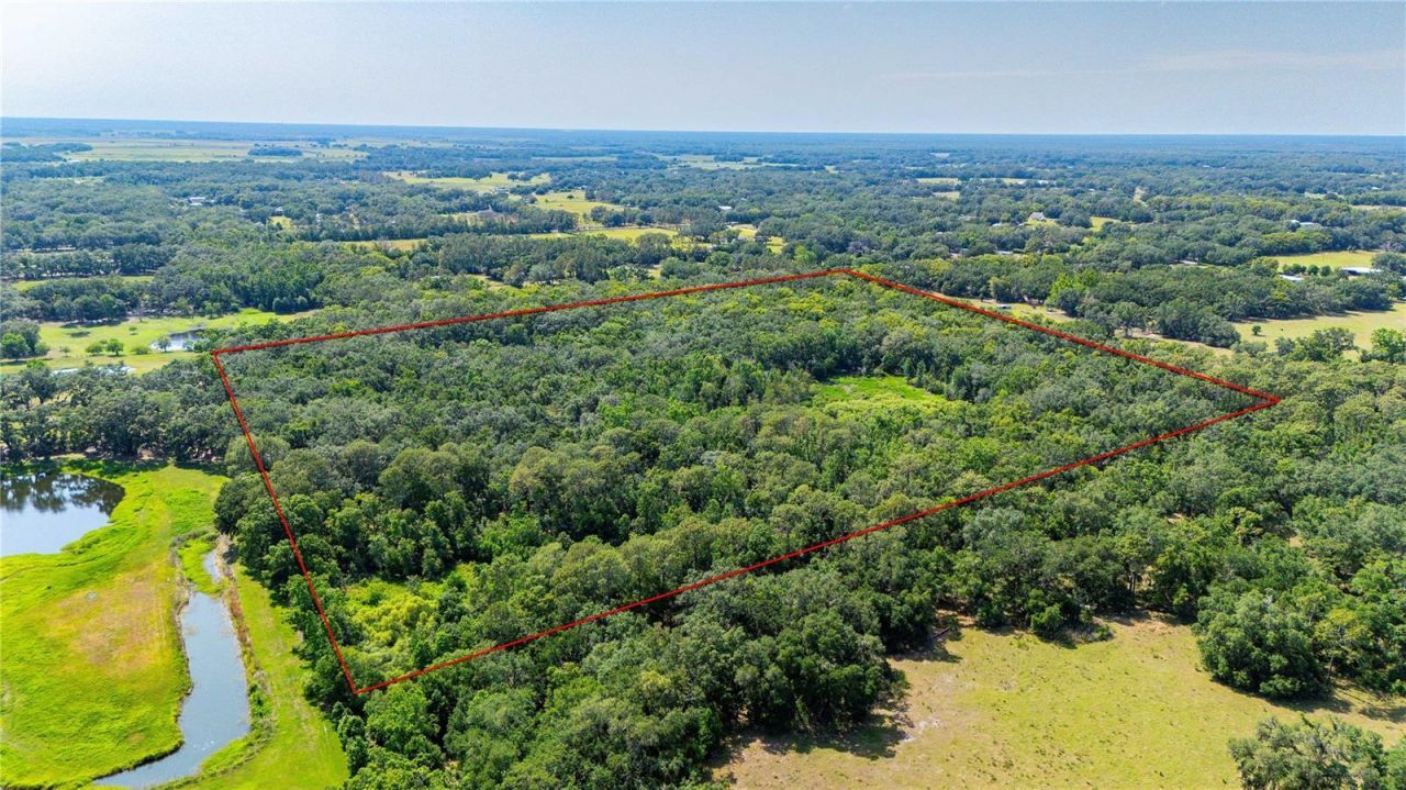 Bradley Drive, Dade City, FL 33525 Photo