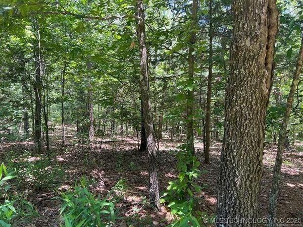 S 4409 , Locust Grove, OK 74352