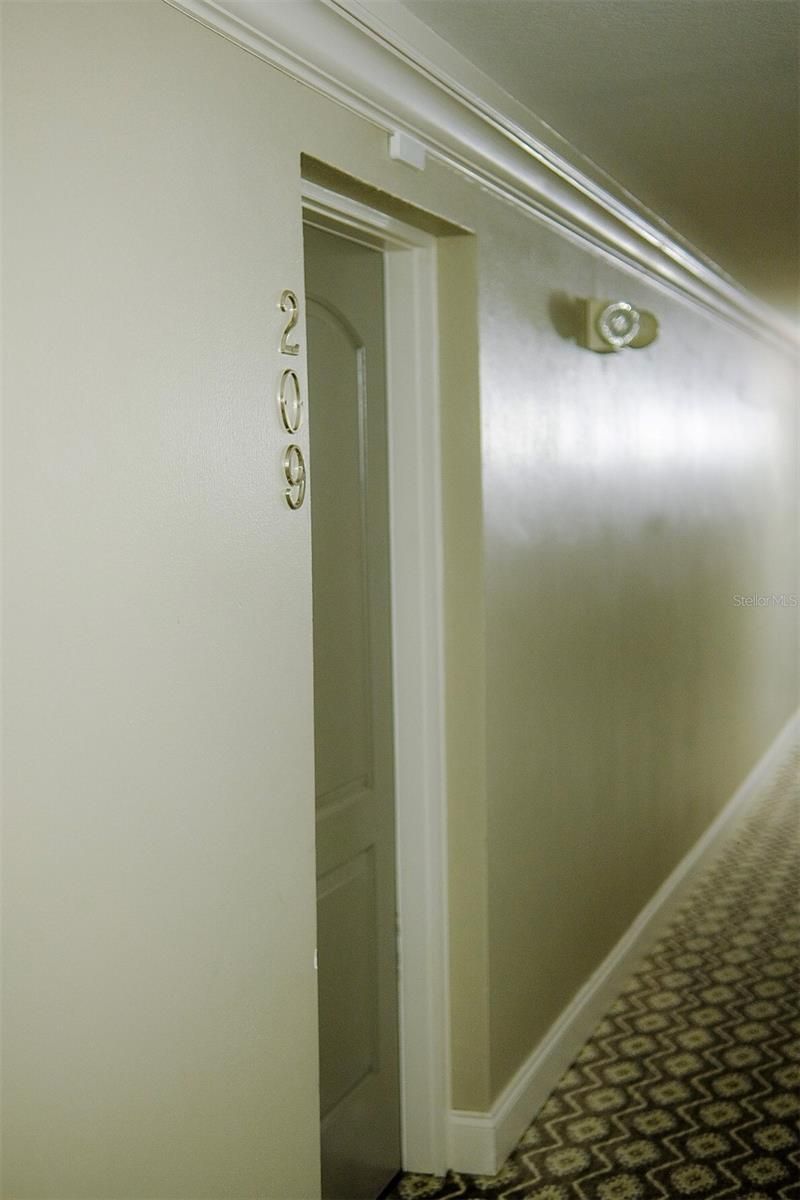 210 5th Avenue S, Unit 209, Saint Petersburg, FL 33701 Photo