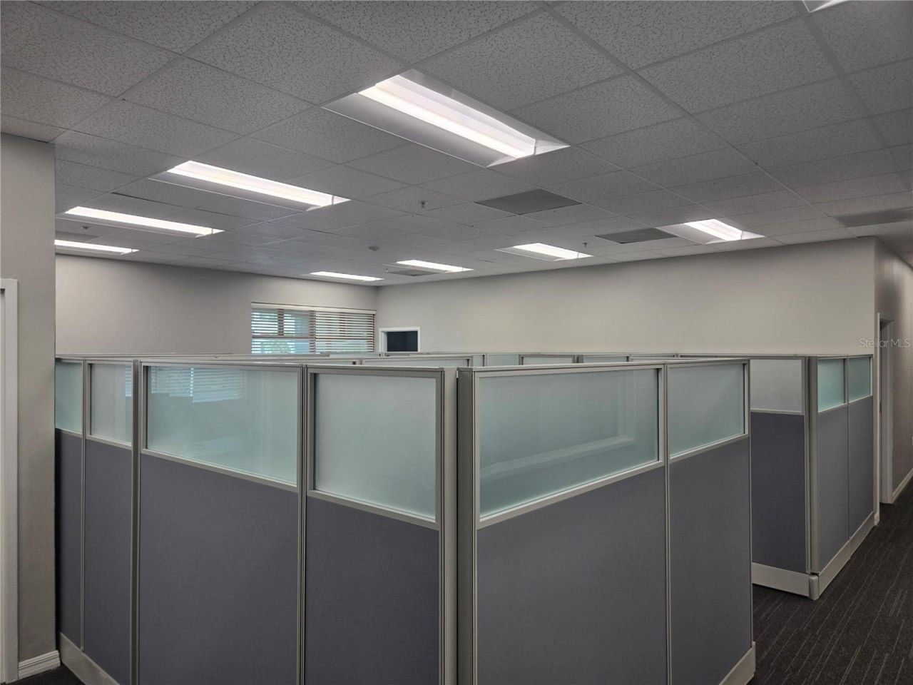 255 Pine Avenue N, Oldsmar, FL 34677 Photo