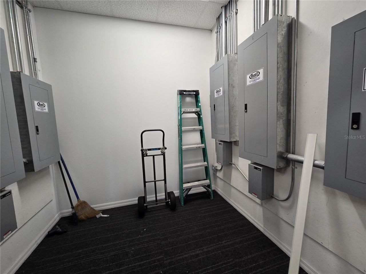 255 Pine Avenue N, Oldsmar, FL 34677 Photo