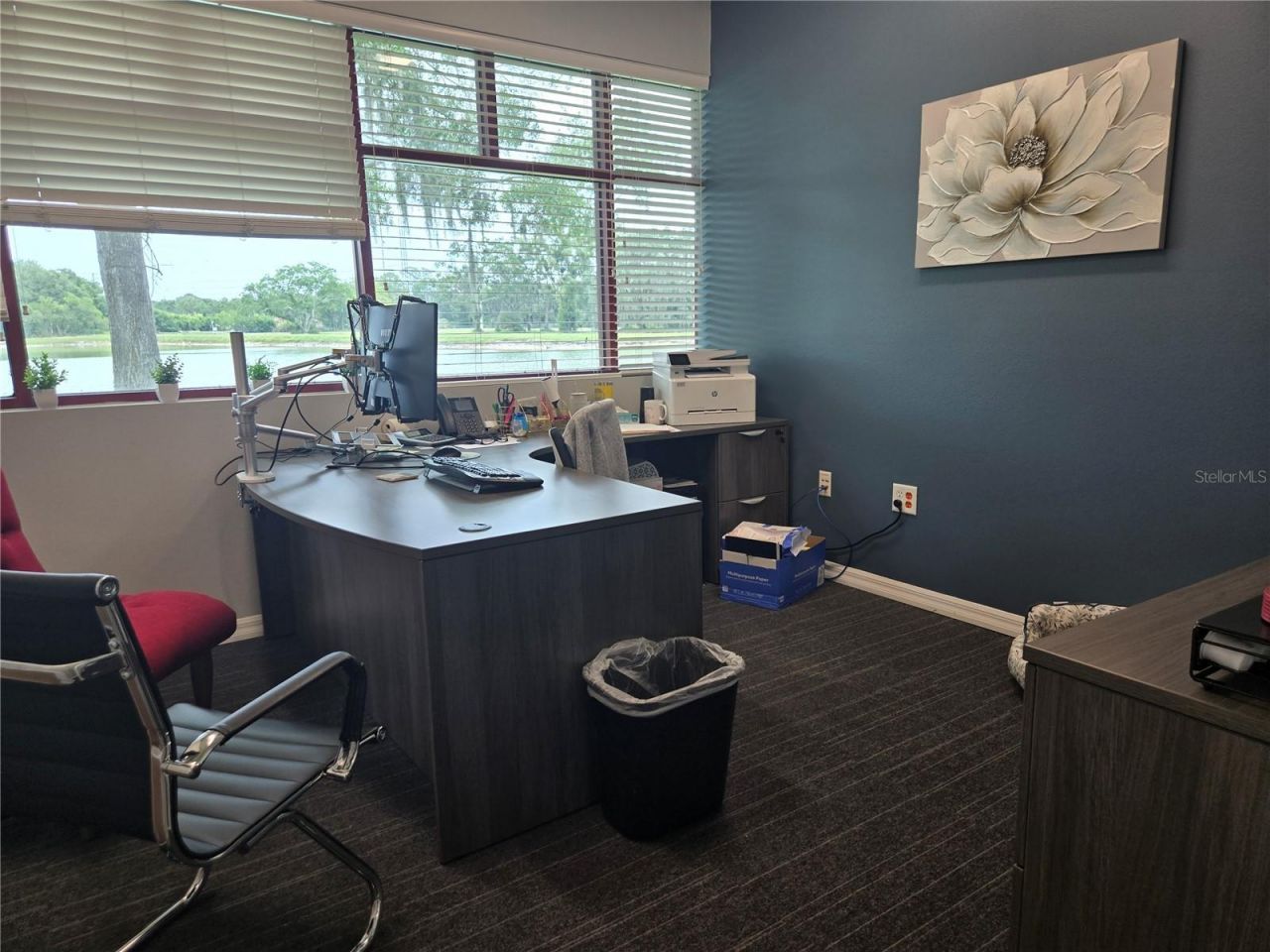 255 Pine Avenue N, Oldsmar, FL 34677 Photo