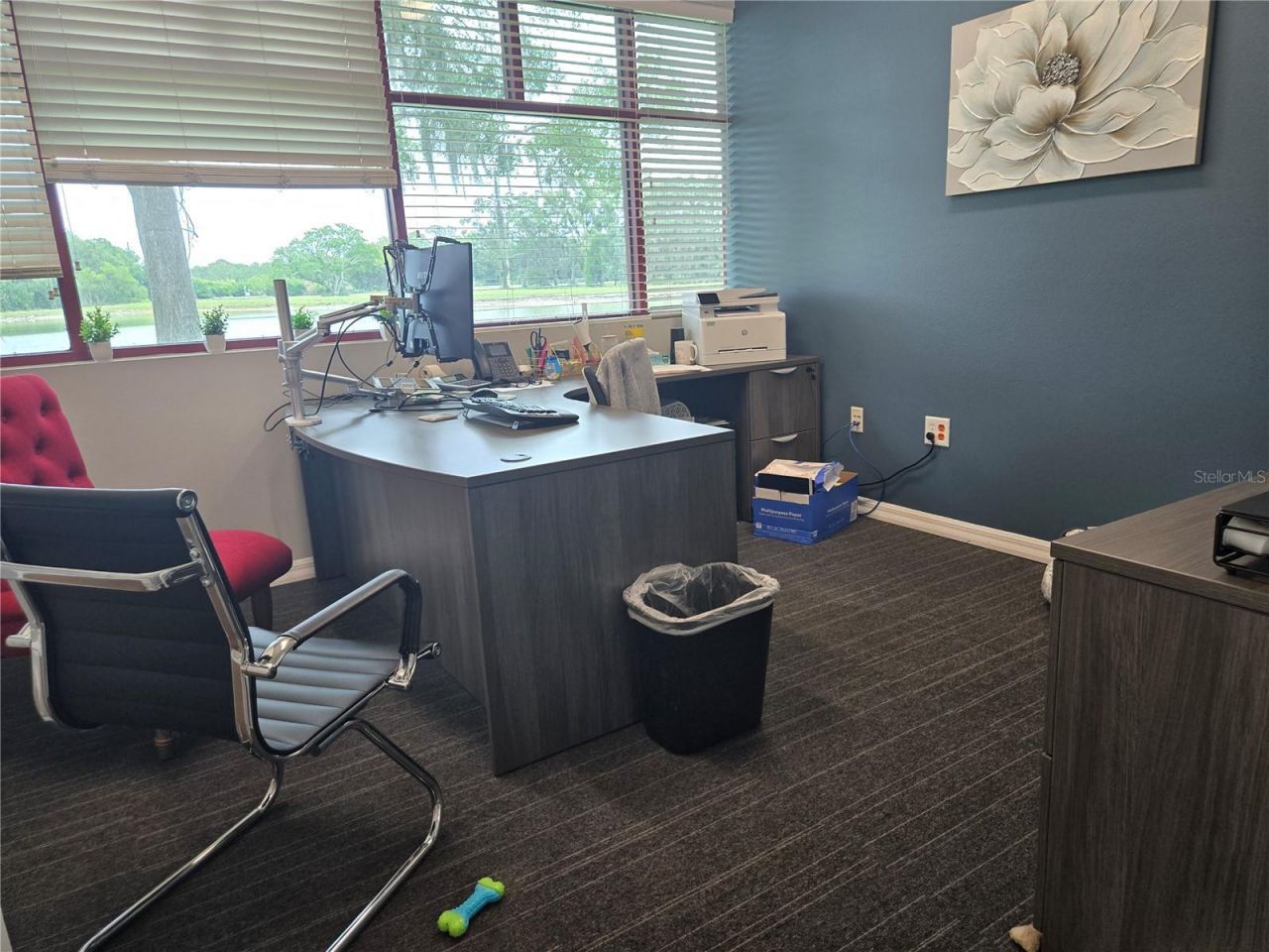 255 Pine Avenue N, Oldsmar, FL 34677 Photo