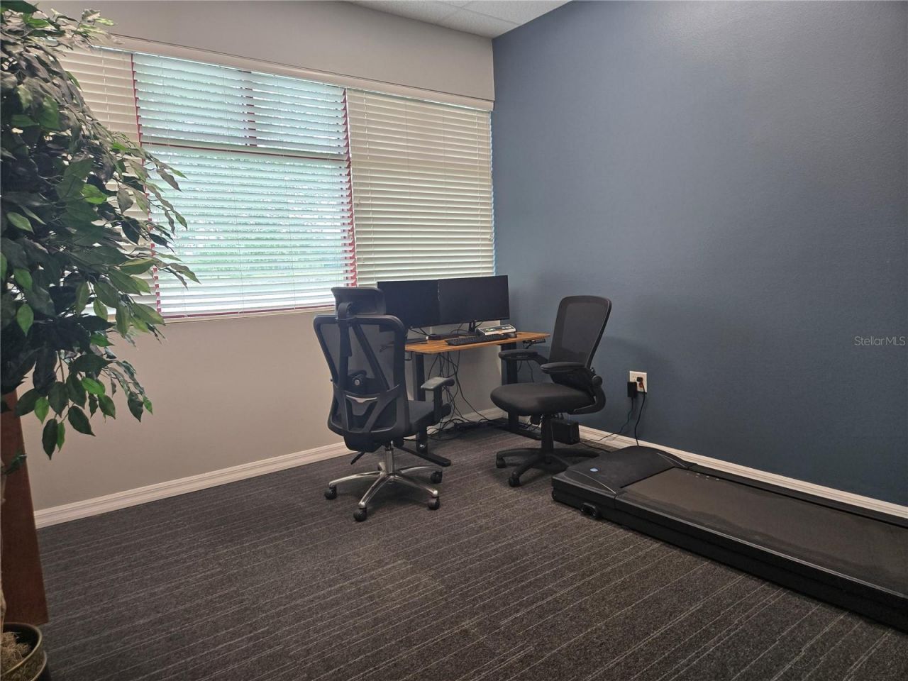 255 Pine Avenue N, Oldsmar, FL 34677 Photo