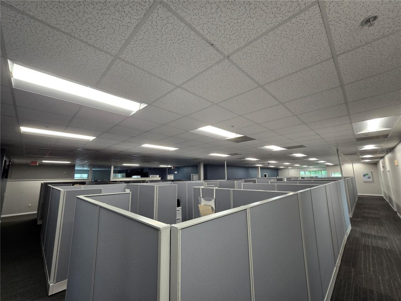 255 Pine Avenue N, Oldsmar, FL 34677 Photo