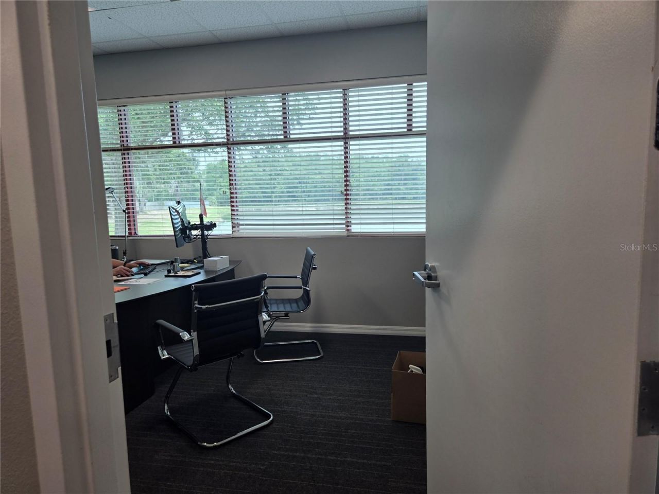 255 Pine Avenue N, Oldsmar, FL 34677 Photo