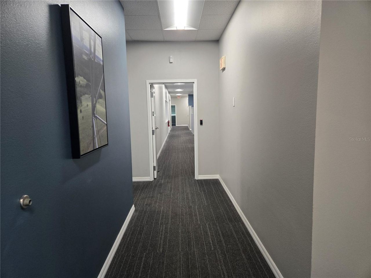 255 Pine Avenue N, Oldsmar, FL 34677 Photo