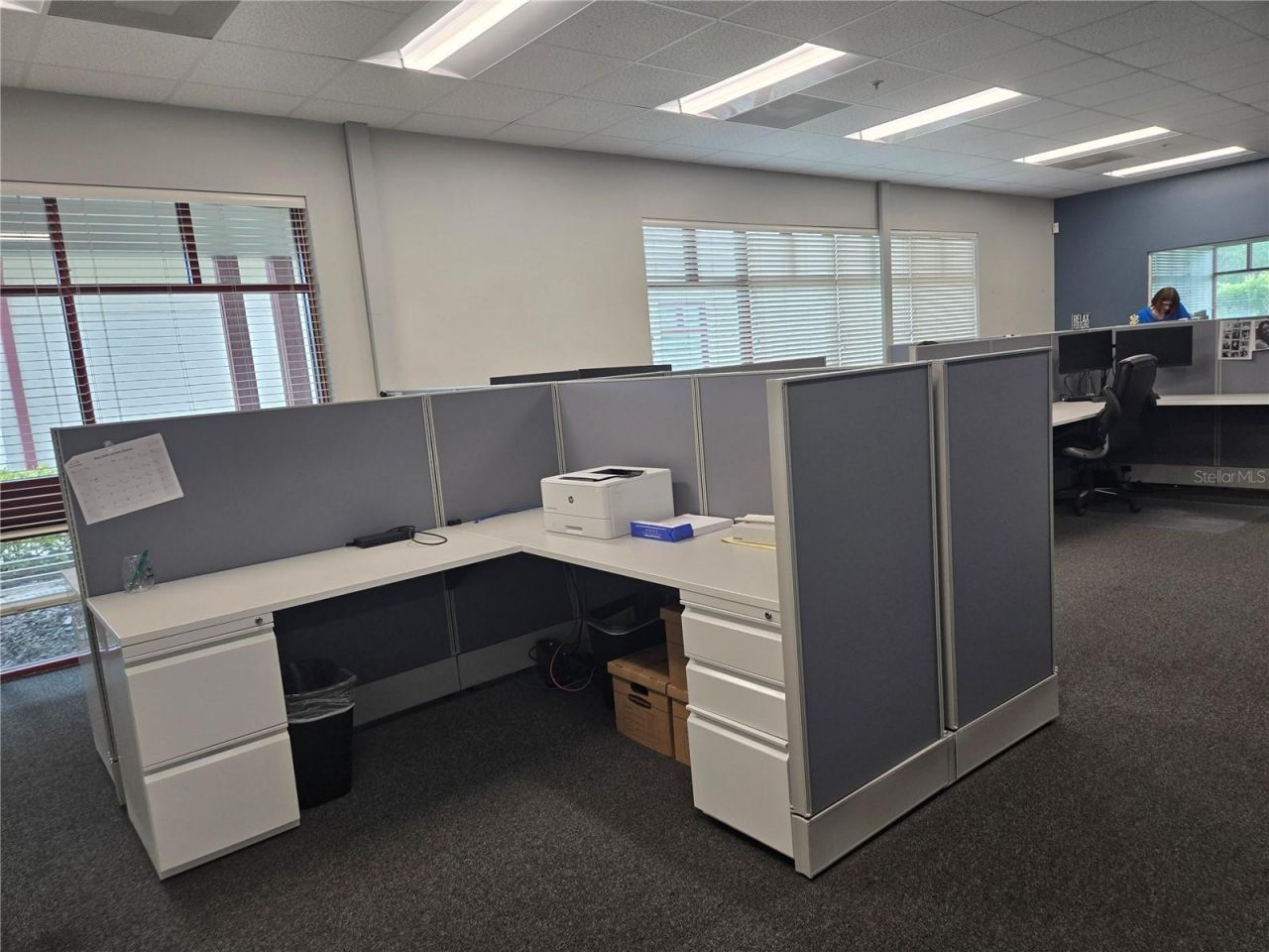 255 Pine Avenue N, Oldsmar, FL 34677 Photo