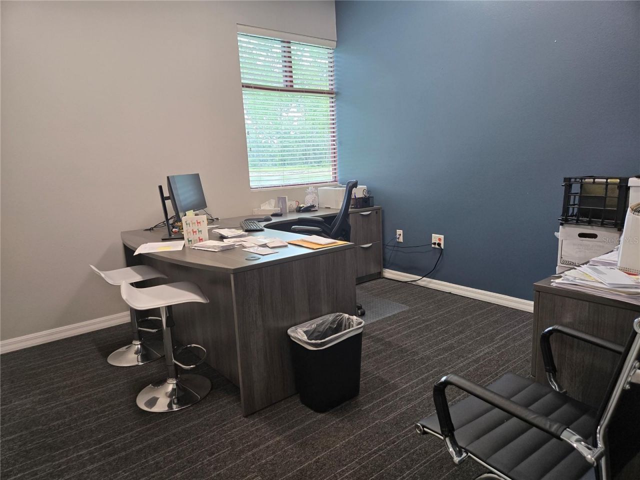 255 Pine Avenue N, Oldsmar, FL 34677 Photo