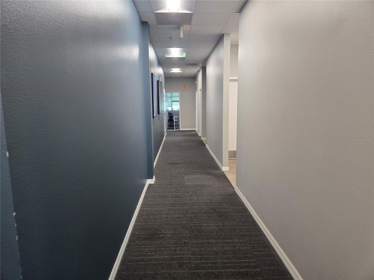 255 Pine Avenue N, Oldsmar, FL 34677 Photo