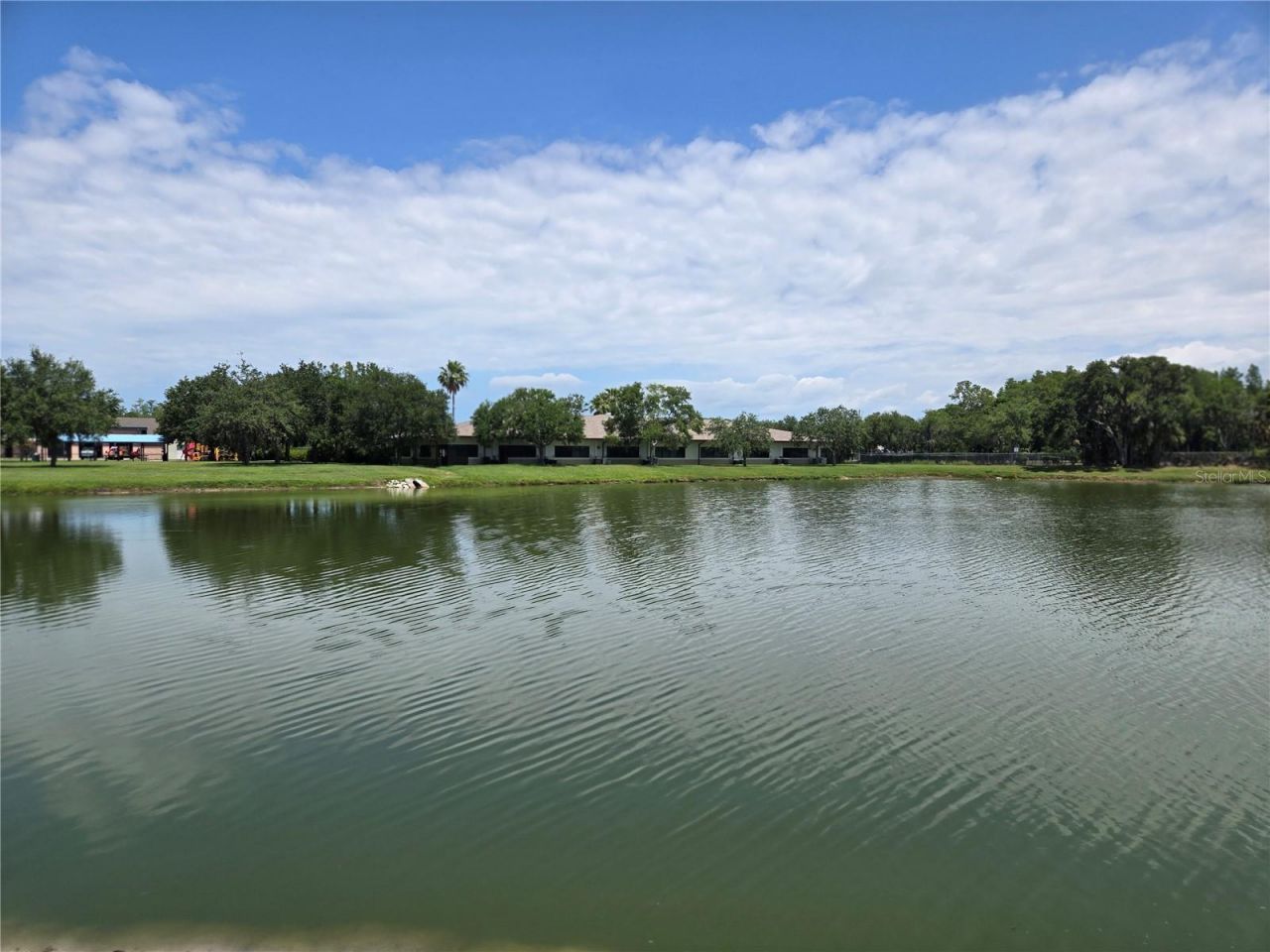 255 Pine Avenue N, Oldsmar, FL 34677 Photo