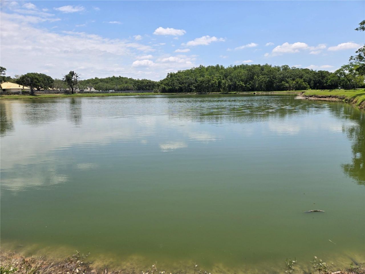 255 Pine Avenue N, Oldsmar, FL 34677 Photo