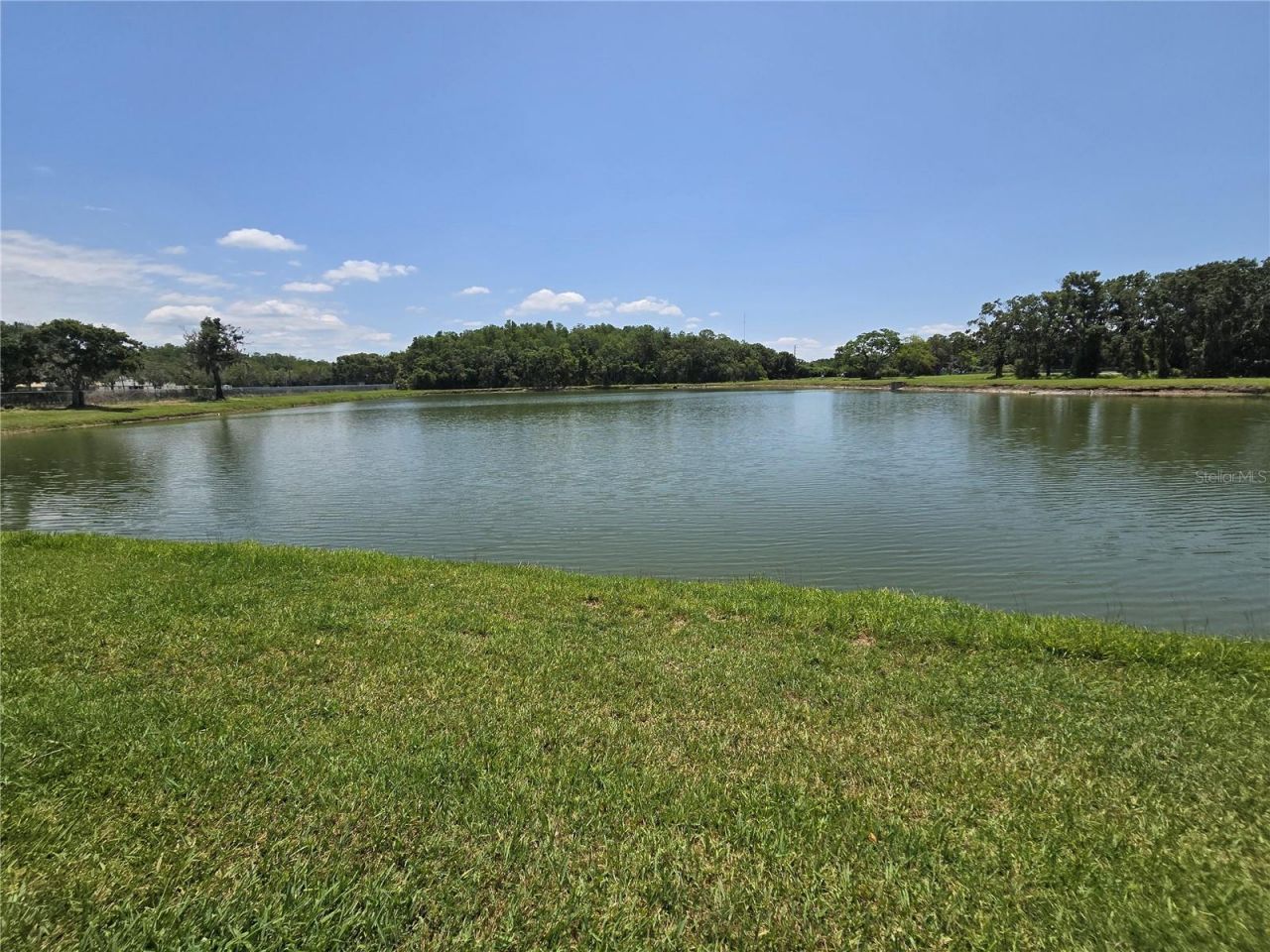 255 Pine Avenue N, Oldsmar, FL 34677 Photo