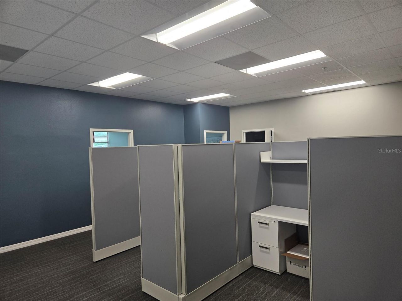 255 Pine Avenue N, Oldsmar, FL 34677 Photo