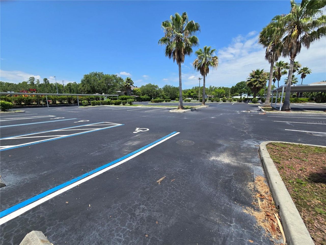 255 Pine Avenue N, Oldsmar, FL 34677 Photo