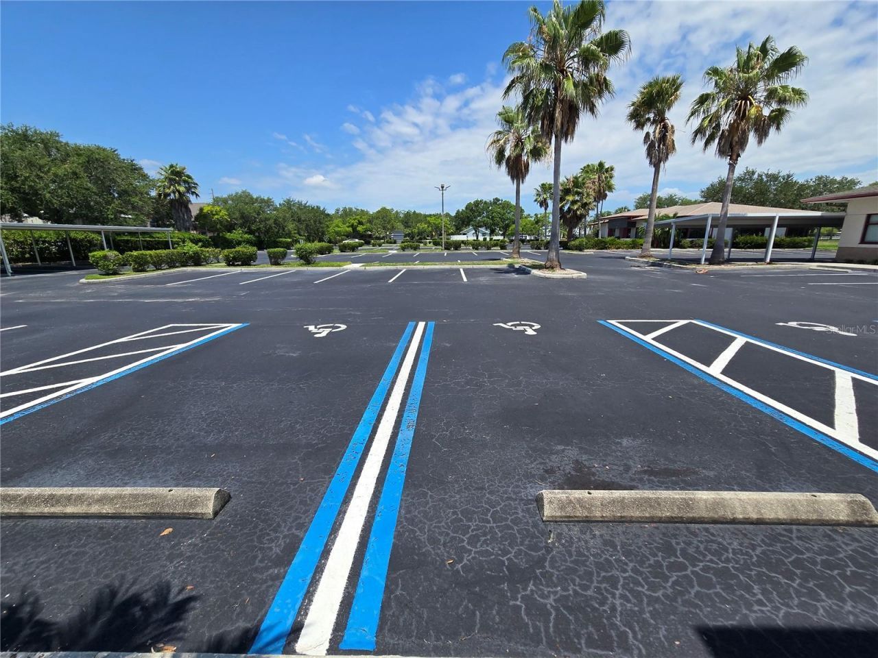 255 Pine Avenue N, Oldsmar, FL 34677 Photo