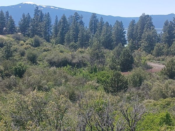 0 Deering Circle, Unit Lot 14, Chiloquin, OR 97624