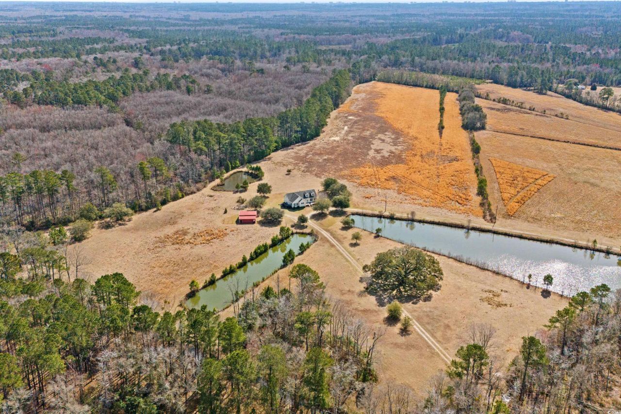 589 Loop Circle Photo 31