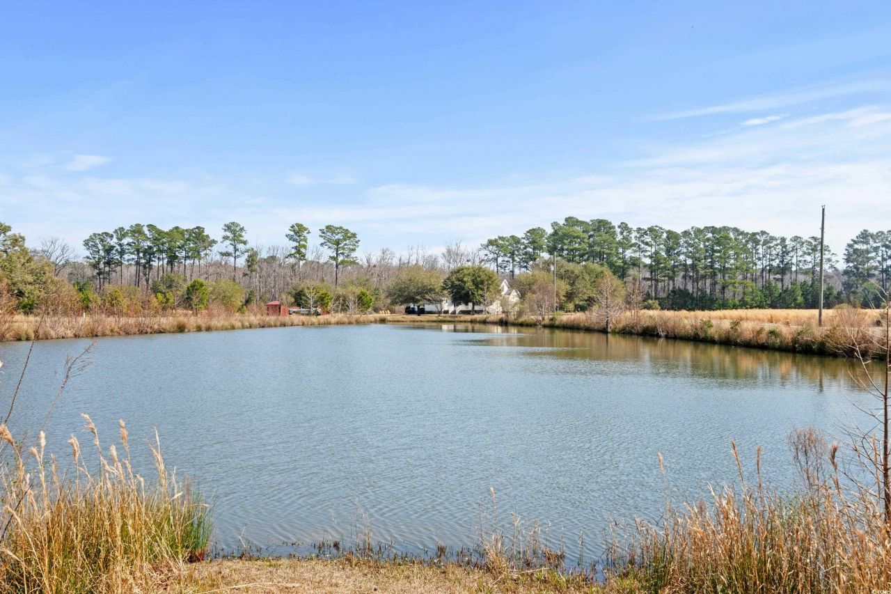 589 Loop Circle Photo 35