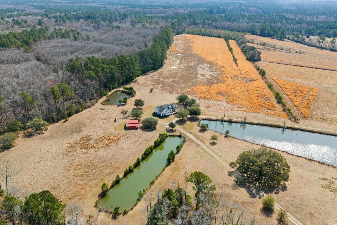 589 Loop Circle Photo 6