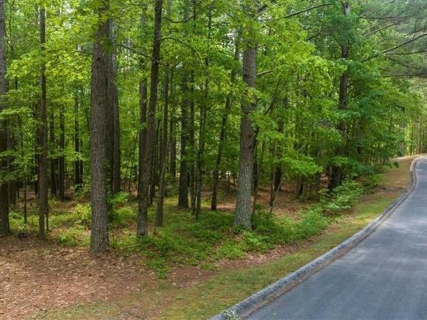 0 Golden Delicious Road, Clarkesville, GA 30523