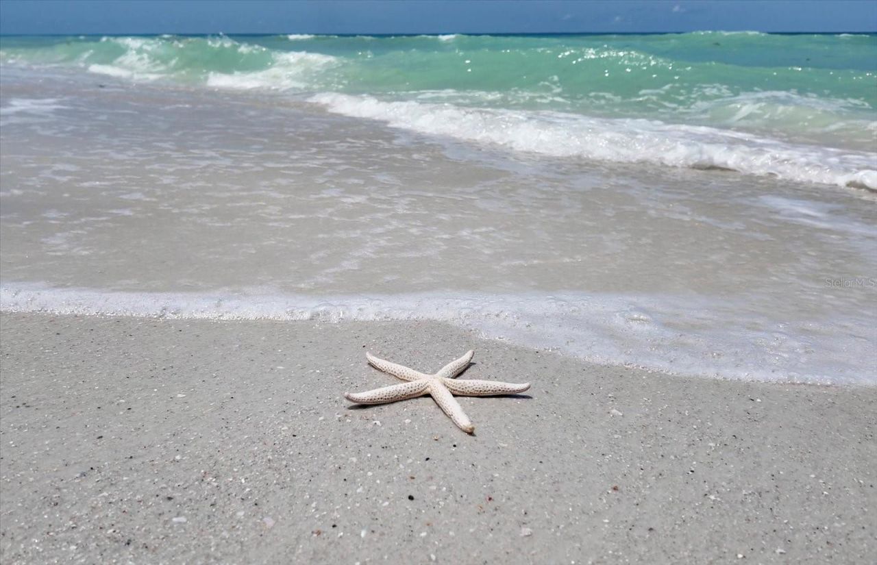 1070 Eldorado Avenue, Clearwater Beach, FL 33767 Photo