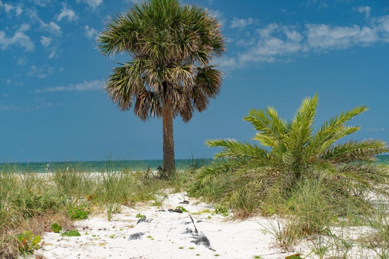 1070 Eldorado Avenue, Clearwater Beach, FL 33767 Photo