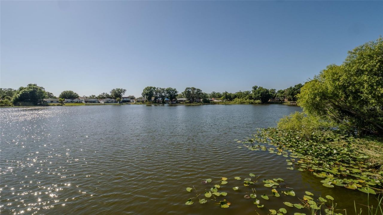 12416 Queensland Lane, Tampa, FL 33625 Photo