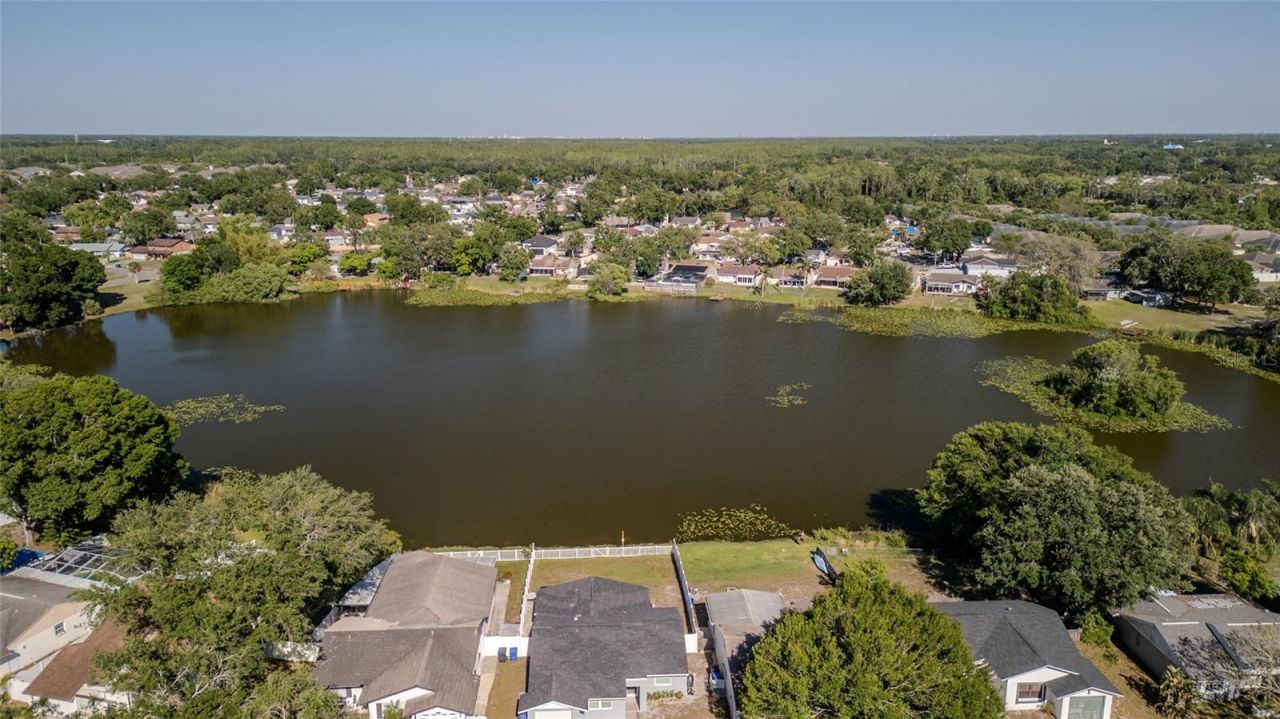 12416 Queensland Lane, Tampa, FL 33625 Photo