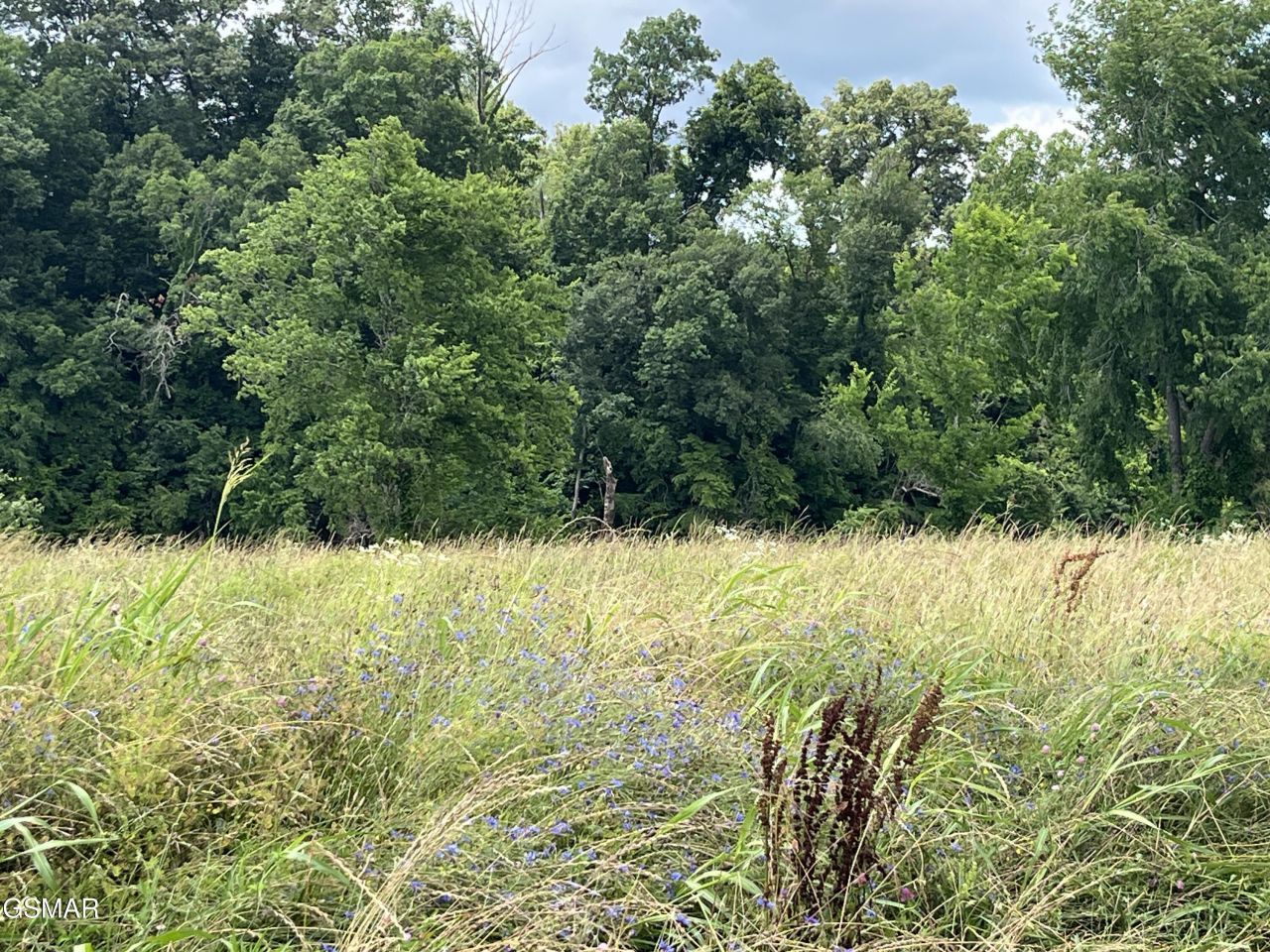 39 Lot Tributary Drive, Sevierville, TN 37876 Main Photo