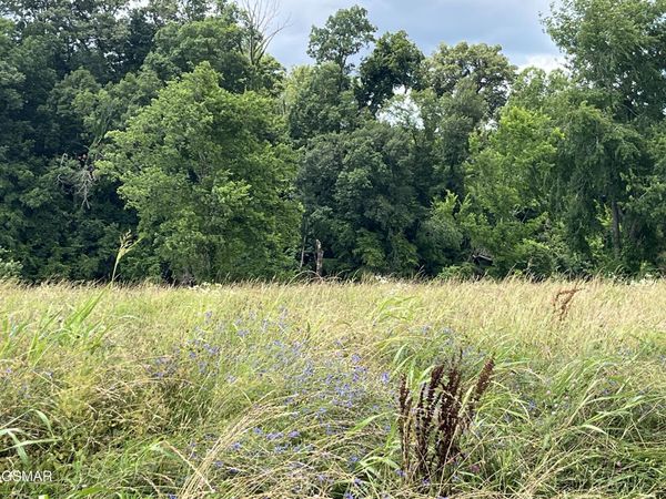 39 lot Tributary Drive, Sevierville, TN 37876