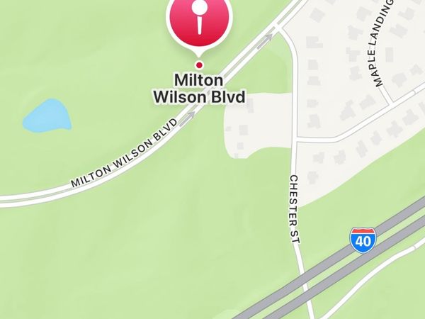 0 MILTON WILSON RD, Arlington, TN 38002
