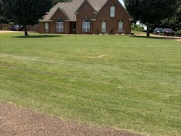 9091 Hunters Ridge Drive, Olive Branch, MS 38654