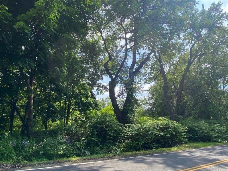 W Warner Road, Akron, OH 44319 Photo 2