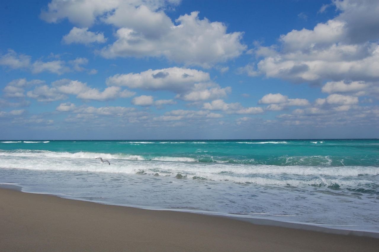 5510 N Ocean Drive, Unit 21-D, Singer Island, FL 33404 Photo