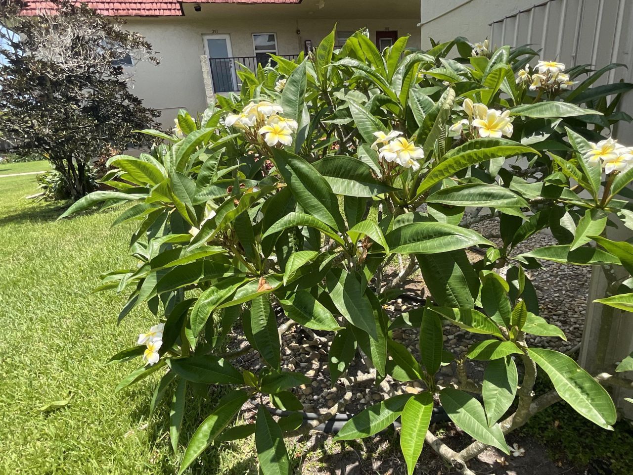 21 Abbey Lane, Unit 107, Delray Beach, FL 33446 Photo