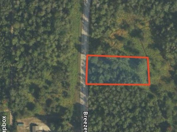Lot 50 Breezewood Drive, Unit 50, Mancelona, MI 49659