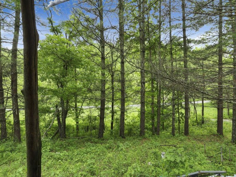 11250 Grass Run Road, New Marshfield, OH 45766 Photo 16