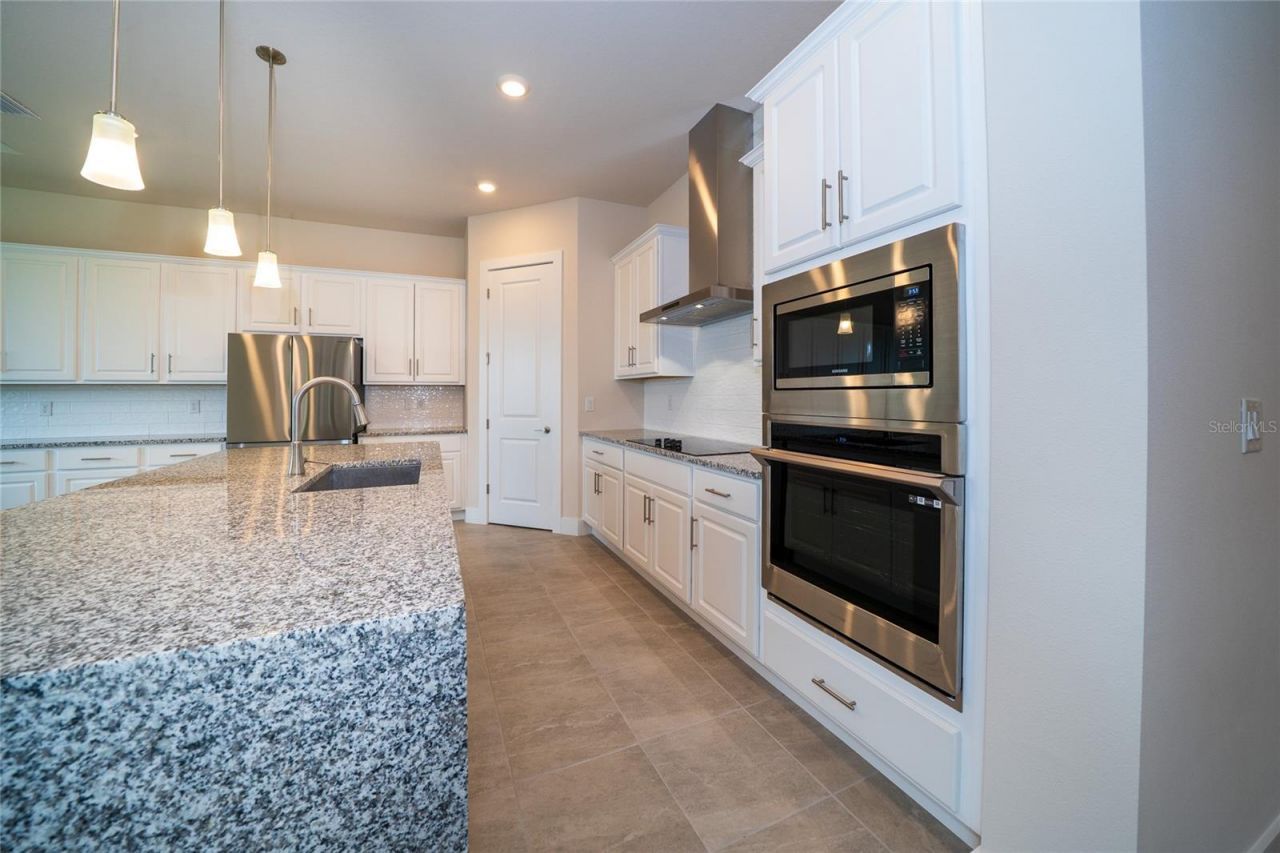 8834 Sanders Tree Loop, Wesley Chapel, FL 33545 Photo